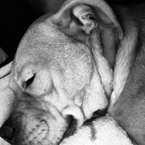 Meet your Posher, Shawna